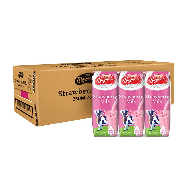MAGNOLIA UHT Strawberry Milk 250ML x 24